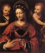 LUINI, Bernardino St.Catherine USA oil painting artist